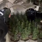 Zbulohet shtëpia e barit në Sarandë, arrestohet një person, 4 punonjës të OSHEE nën hetim