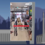 Blerje pa rradhë: delet pushtojnë supermarketin!