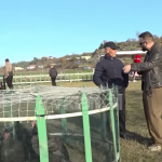 “Rritet çmimi se ka shumë shpenzime” gjeli i detit për fundvit, flasin tregtaret!