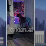 Imiton Shakirën në perfeksion, video që do t’ju habisë