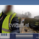 Shkon për ti çuar pakon që ka porositur klientja, postieri i vjedh macen