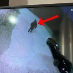 I dogji makinën 26-vjeçares pas konfliktit me familjarin e saj, arrestohet i riu në Tiranë