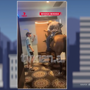 Burri hyn me kalë në pub dhe të gjithë mbeten pa fjalë!