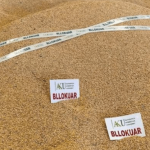 95 tonë misër me Aflatoksinë B1 ‘avulluan’ nga magazina, Kryeinspektori: Ka dalë prapë në treg!