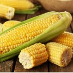 Bllokohen 5 ngarkesa misri blegtoral nga AKU, vinin nga Serbia dhe Greqia