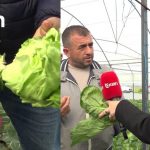 STOP-EMISIONI 137(Sezoni 11) 13 Mars 2026-Gruaja gris faturen para kameras, fermeret blene aty fidane te lakres me dy koka