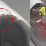 E pazakontë/ Kosherja e bletëve zbulohet brenda motorit të avionit, autoritetet ndërhyjnë… (VIDEO)