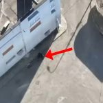 Zbulohet baza që prodhonte drogë sintetike për adoleshentët, në pranga 2 vëllezër në Durrës