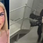 “Do themi se e gjetëm në rrugë”, si e transportuan dhe e braktisën 19-vjeçaren shqiptare 3 të arrestuarit në Greqi