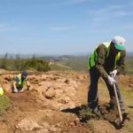 Zbulim arkeologjik i rallë në Lushnje, dalin pamjet nga vendi antik