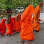 22 murgj arrestohen në Sri Lanka me 110 kg kanabis në aeroport