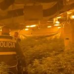 Magazina me kanabis në Peqin, përjashtohen nga policia 7 zyrtarë dhe ish-zyrtarë të policisë lokale