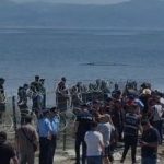Arrestohet roja i sigurisë që dhunoi një qytetar gjatë tubimit në Zvërnec, hetim disiplinor policisë Vlorë