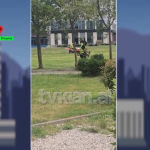 STOP denoncoi pakujdesinë, vetëm pas transmetimit vrapojnë të korrin barin