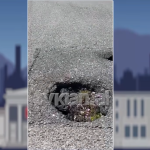 Made in Albania, ja si e zbukurojnë rrugën në Shëngjergj