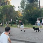 Incident në protestë, i riu me pitbull ofendon influenceren dhe protestuesit, ata i vihen në ndjekje