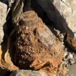Qytetarja gjen disa granata dhe dy armë pranë plazhit të vjetër, në Vlorë: Një kallash ishte mbledhur me peshqir, i hodha në kanal