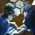 Kina realizon transplantin e parë në botë të mëlçisë dhe veshkave, nga derri te njeriu