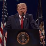 SHBA feston 250-vjetorin e Pavarësisë. Trump: Amerika, gjithmonë e para!