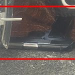 Plagosja në Poliklinikën e Shkodrës, vëllai i 32-vjeçarit tentoi të vriste autorin e dyshuar, arrestohet nga policia