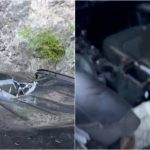 Momente tmerri në Theth, guri bie mbi makinë dhe depërton brenda saj, turistët shpëtojnë për mrekulli