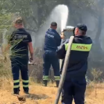 Flakët përfshijnë ullishtet në Peqin, digjen mbi 2 hektarë, dyshohet për zjarrvënie të qëllimshme
