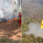 Zjarri në Fier, ministri Nufi: 90 efektivë të Forcave të Armatosura, një avion dhe një helikopter në terren