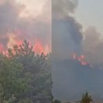 Situatë dramatike nga zjarret në fshatrat Zimaj dhe Rras, flakët përfshijnë hapësira të mëdha me pyje