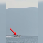 Bëri manovra të rrezikshme me gomone në Vlorë, drejtuesi i dehur gjobitet dhe i bllokohet leja (VIDEO)