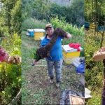 Kush është “gruaja e bletëve”, që u arrestua bashkë me bashkëshortin për kultivim droge