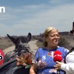 Gati për t’u martuar, i dhuron një mushkë: prishet krushqia dhe përfundojnë në gjykatë