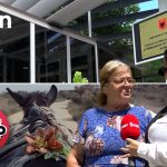 STOP-EMISIONI 5(Sezoni 12) 11 Shtator 2026-“Krushqia zgjati 5 muaj, mushka ngeci ne mes”, historia e rralle e konfliktit