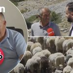 STOP-EMISIONI 37(Sezoni 12) 28 Tetor 2026-Sherri i cuditshem, bashkia ben kontrate per kullotjen e bagetise, bashkefshatari e kercenon