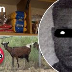 STOP-EMISIONI 35(Sezoni 12)27 Tetor 2026-Pagoi 700 mije leke per nje bari indian, cfare ndodhi me emigrantin e huaj pas 4 ditesh