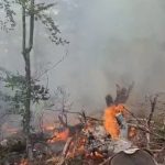 Vijon prej disa ditësh zjarri në Gjinar të Elbasanit, banorët kërkojnë ndërhyrje nga ajri